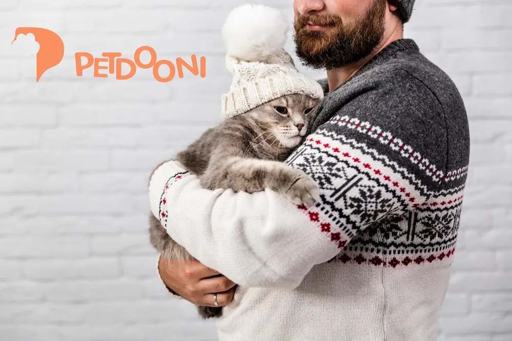 همه چیز درباره نژاد گربه هیمالین | نکات مراقبت و نگهداری از نژادهای خانگی گربه هیمالین در پت شاپ آنلاین پتدونی 1404